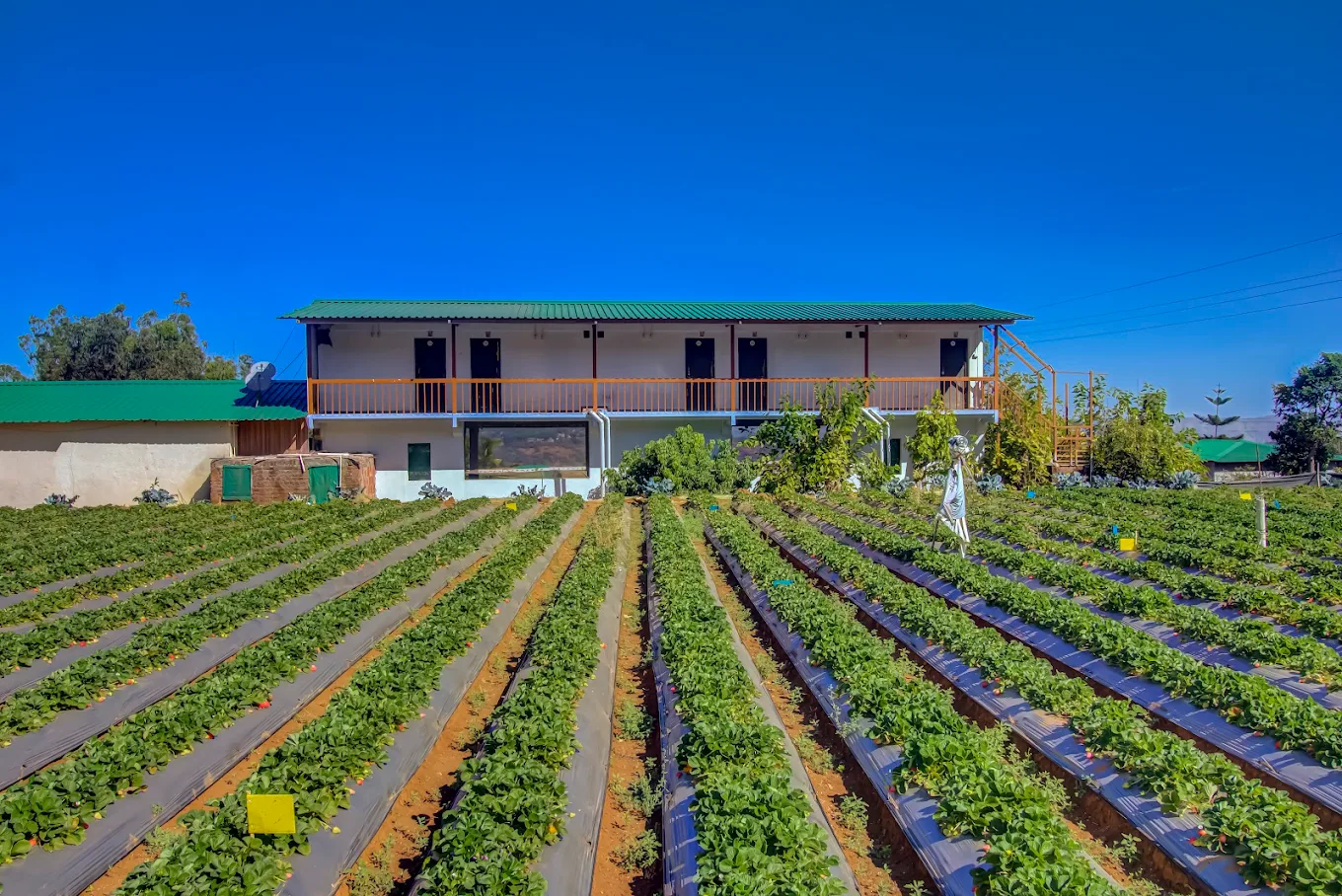Ankur Farm house